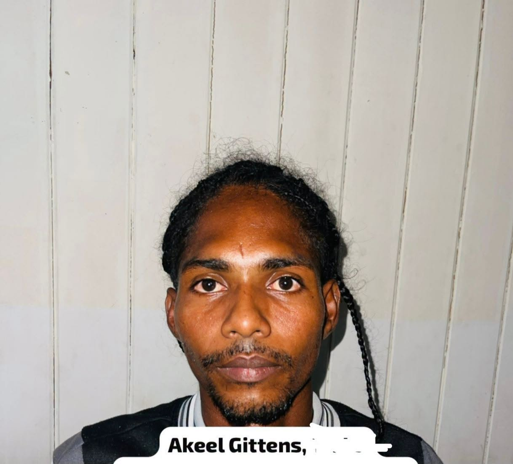 West Meten-Meer-Zorg Laborer Sentenced to 24 Months for Break and Enter and Larceny 2 image 4